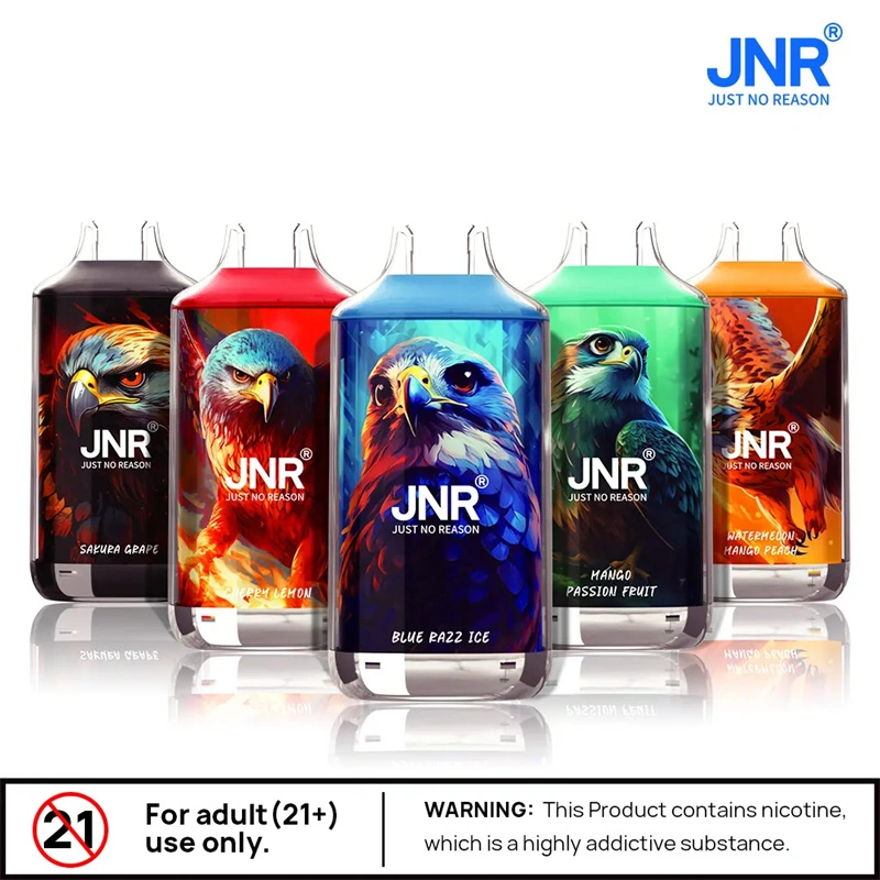 JNR Falcon 16000 Puffs Wholesale Disposable Vape Puff 16k Electronic Cigarette Dual Mesh Adjustable Airflow
