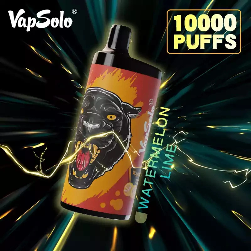 EU Warehouse Vapsolo King 10000 Puffs Disposable Vape Puff 10k Wholesale E Cigarette Adjustable Airflow