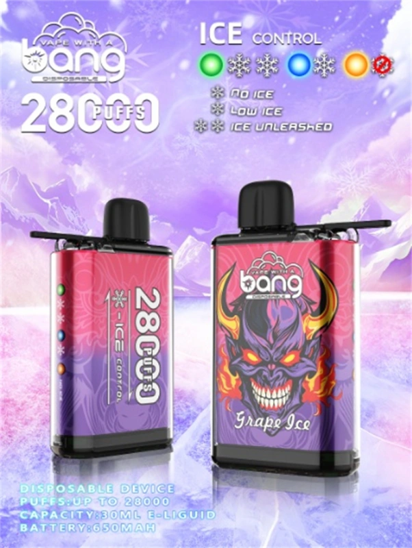 Bang 28000 Puffs Ice Control Wholesale Disposable Vape Puff 35k Electronic Cigarette Airflow Adjustable