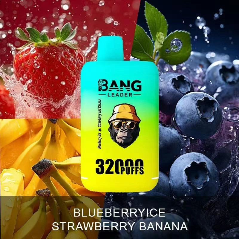 Bang Kingdoms Rex 32000 Puffs Dual Pods Double Flavors Puff 32k Wholesale Disposable Vape E Cigarettes Dual Mesh
