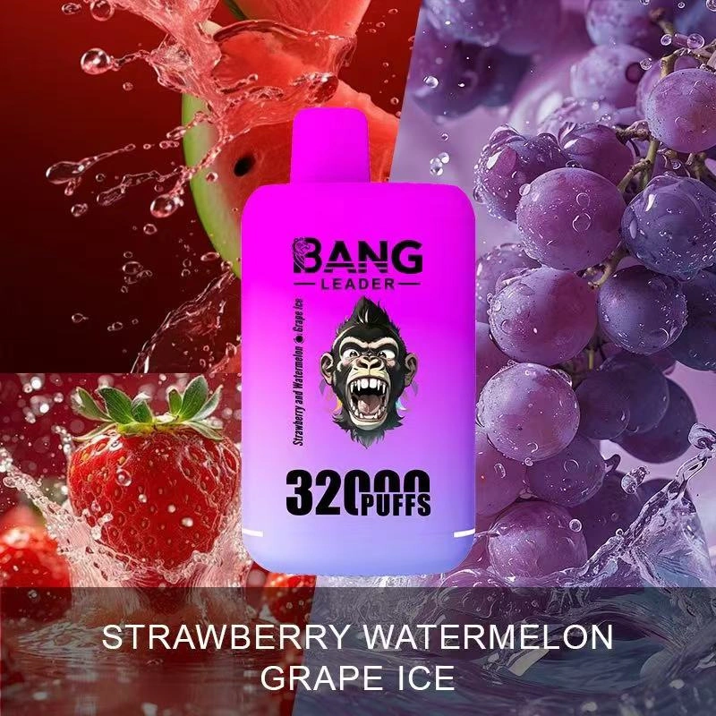 Bang Kingdoms Rex 32000 Puffs Dual Pods Double Flavors Puff 32k Wholesale Disposable Vape E Cigarettes Dual Mesh