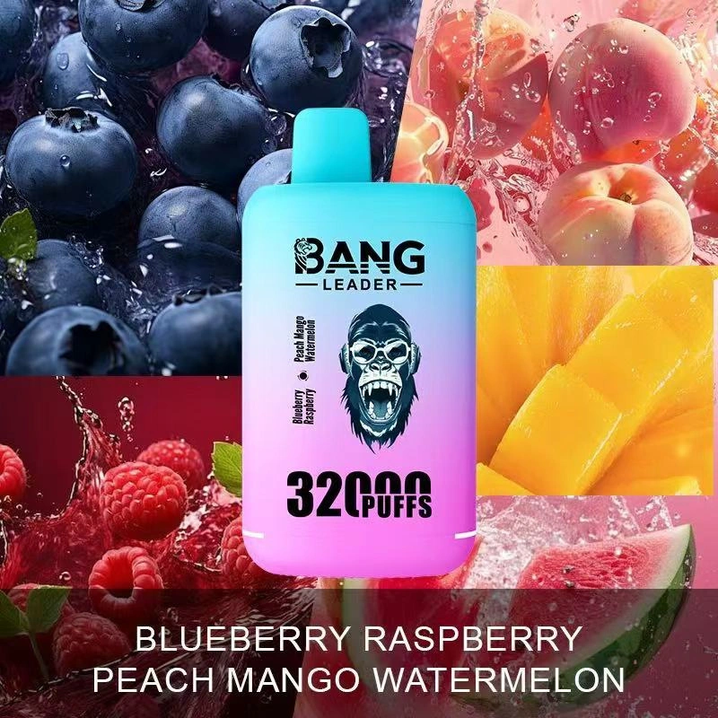 Bang Kingdoms Rex 32000 Puffs Dual Pods Double Flavors Puff 32k Wholesale Disposable Vape E Cigarettes Dual Mesh