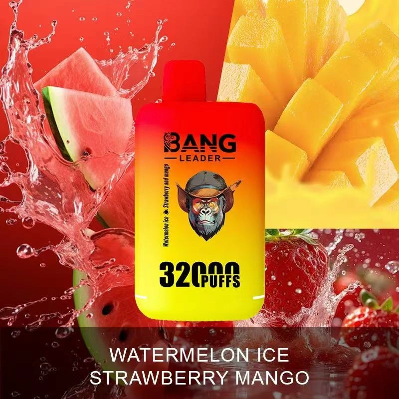 Bang Kingdoms Rex 32000 Puffs Dual Pods Double Flavors Puff 32k Wholesale Disposable Vape E Cigarettes Dual Mesh