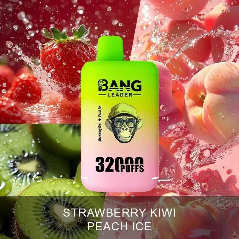 Bang Kingdoms Rex 32000 Puffs Dual Pods Double Flavors Puff 32k Wholesale Disposable Vape E Cigarettes Dual Mesh