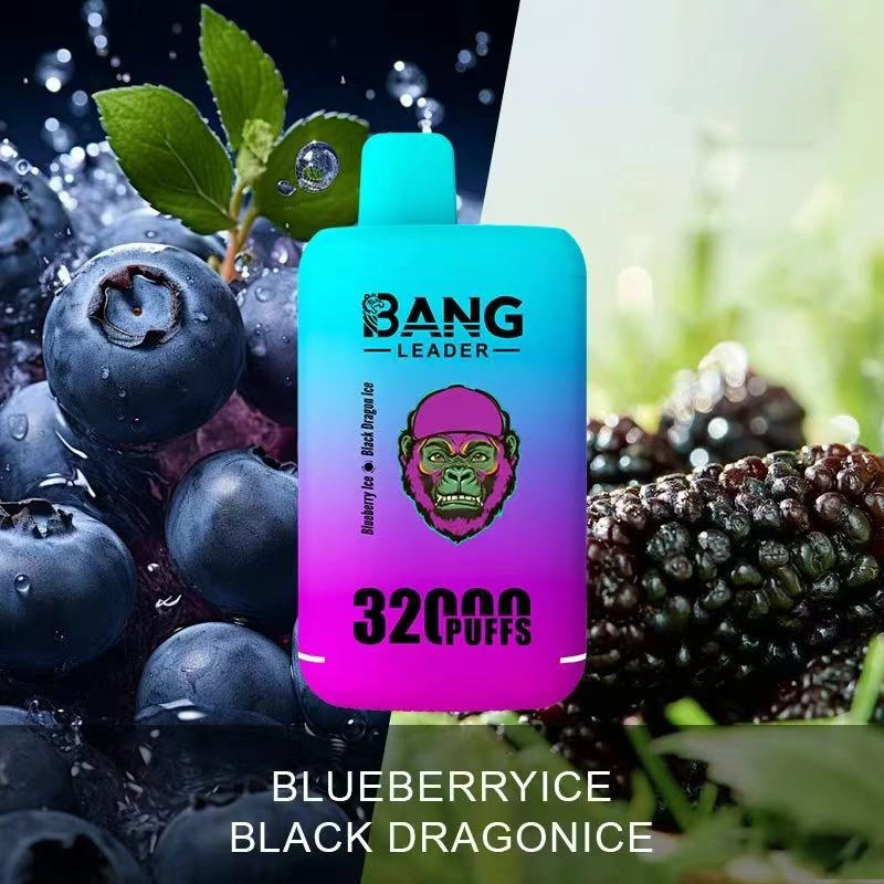 Bang Kingdoms Rex 32000 Puffs Dual Pods Double Flavors Puff 32k Wholesale Disposable Vape E Cigarettes Dual Mesh