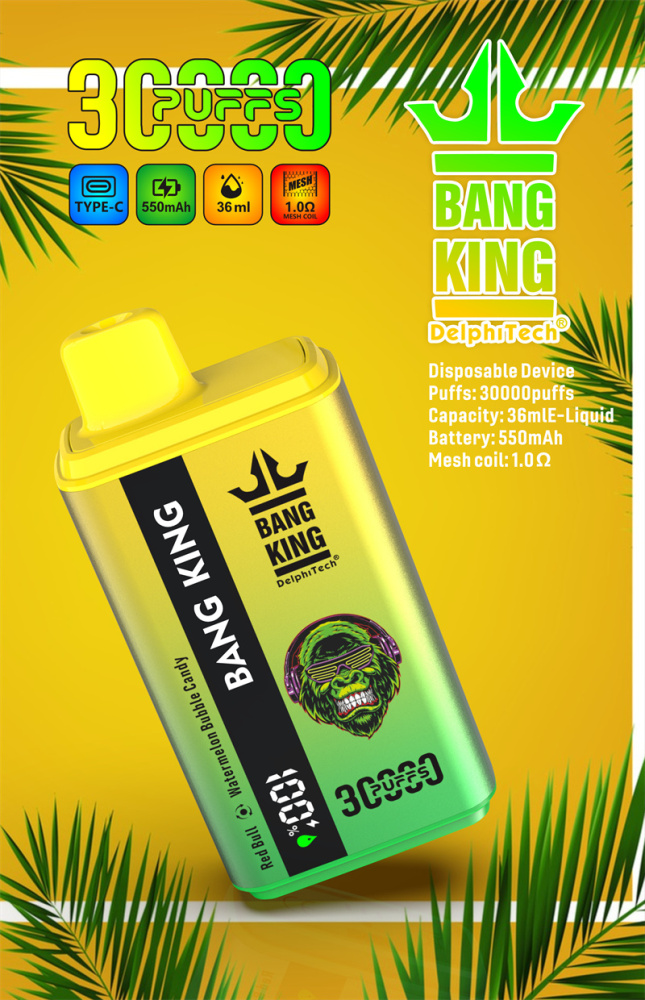 Puff 30k Bang King 30000 Puffs Dual Flavors Disposable Vape Wholesale E Cigarettes Smart Screen Prefilled Pod-F