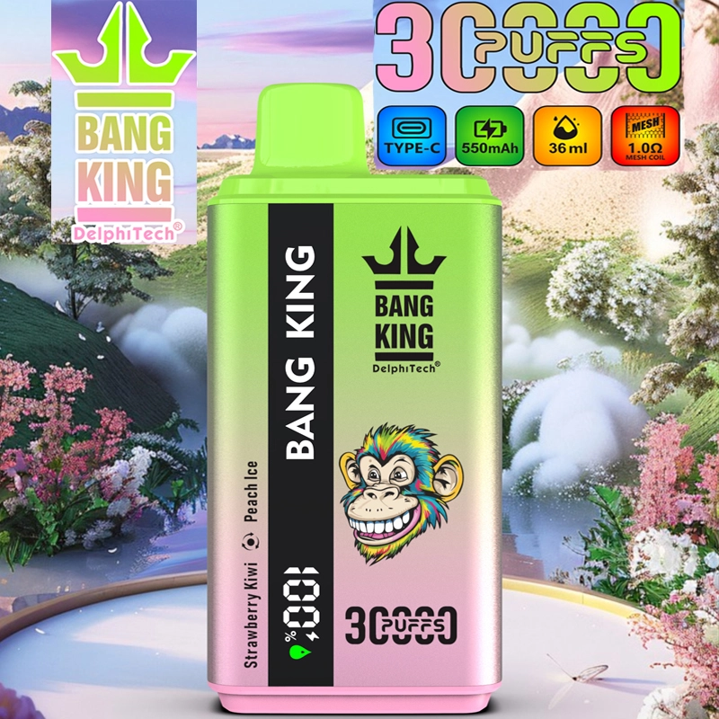Puff 30k Bang King 30000 Puffs Dual Flavors Disposable Vape Wholesale E Cigarettes Smart Screen Prefilled Pod-F