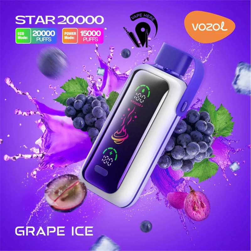 Vozol Star 20000 Puffs Smart Screen Wholesale Disposable Vape Puff 20K Electronic Cigarette