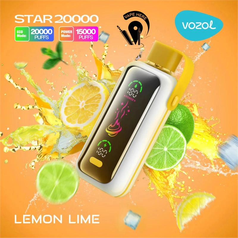 Vozol Star 20000 Puffs Smart Screen Wholesale Disposable Vape Puff 20K Electronic Cigarette