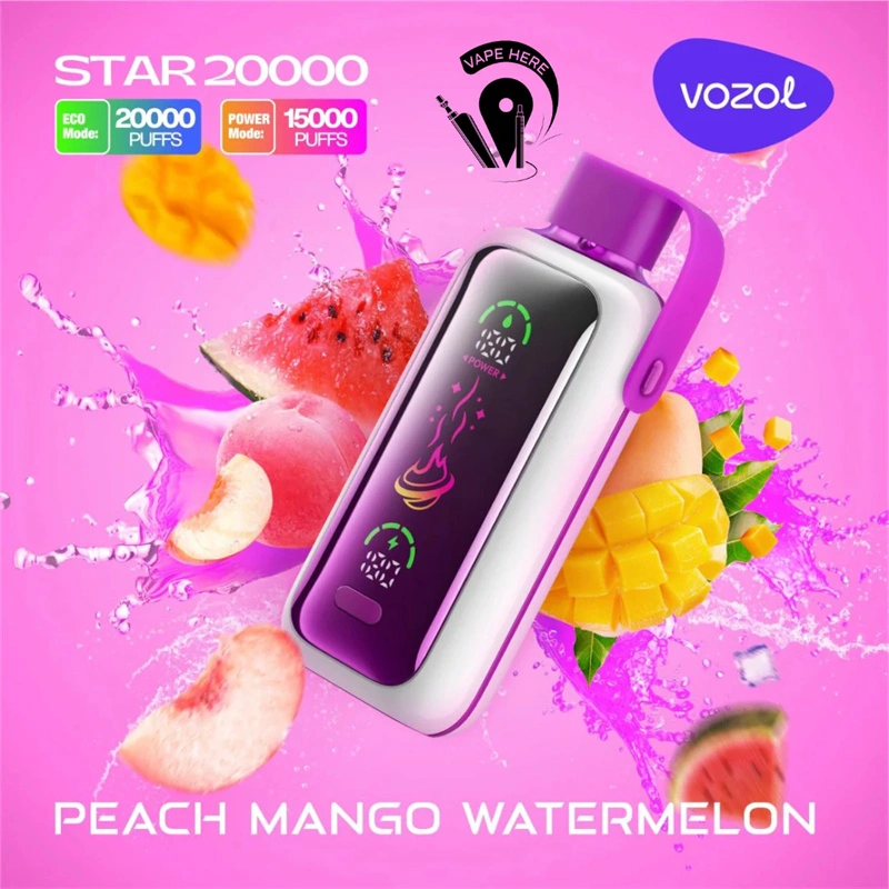 Vozol Star 20000 Puffs Smart Screen Wholesale Disposable Vape Puff 20K Electronic Cigarette