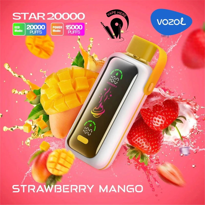 Vozol Star 20000 Puffs Smart Screen Wholesale Disposable Vape Puff 20K Electronic Cigarette