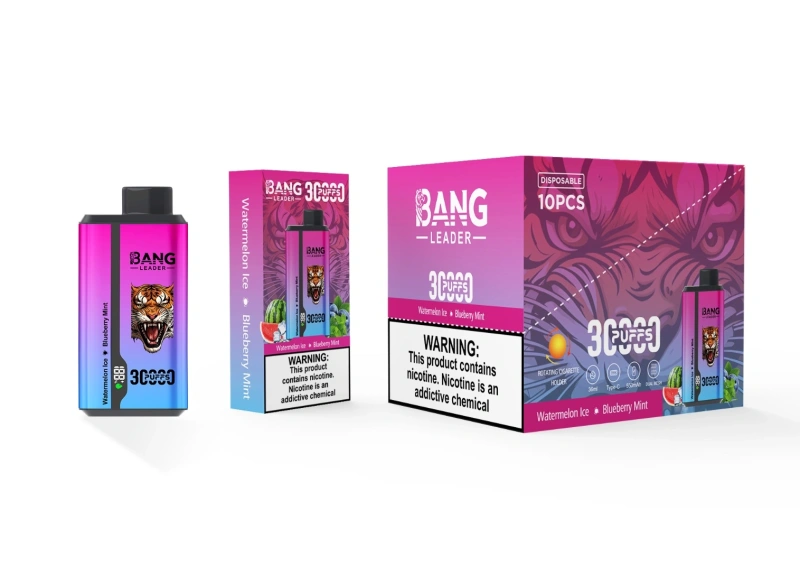 Bang Kingdoms Rex 30000 Puffs Smart Screen Puff 30k Double Flavors Dual Mesh Wholesale Disposable Vape E Cigarettes
