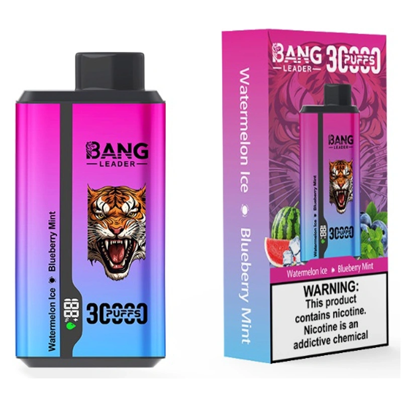 Bang Kingdoms Rex 30000 Puffs Smart Screen Puff 30k Double Flavors Dual Mesh Wholesale Disposable Vape E Cigarettes