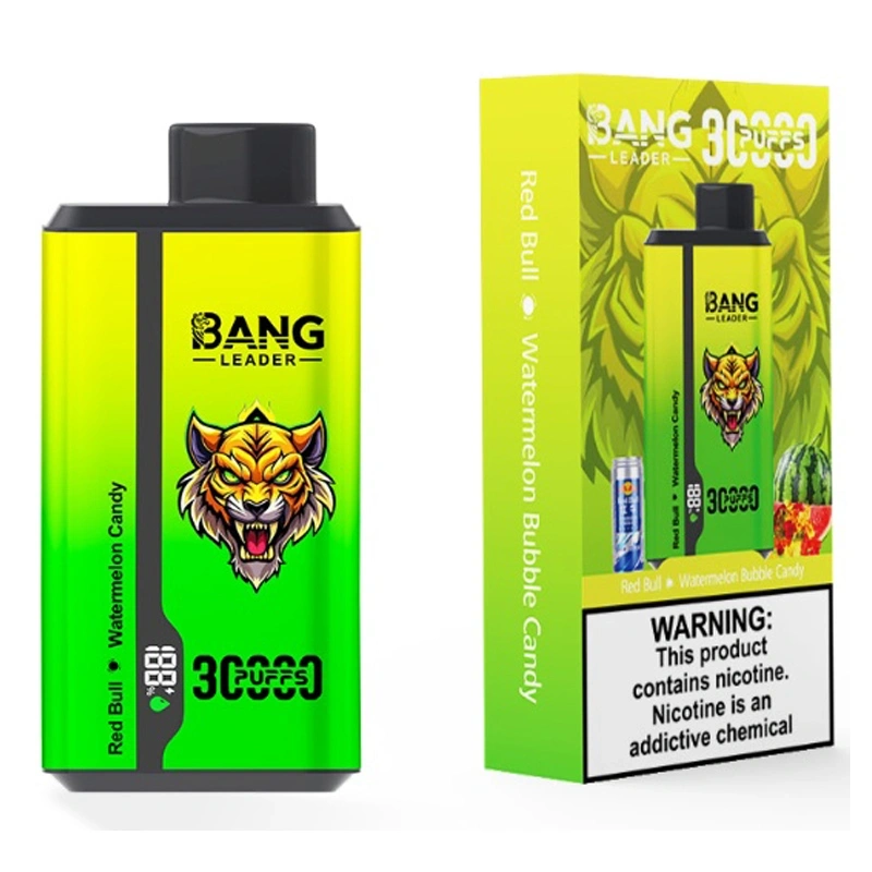 Bang Kingdoms Rex 30000 Puffs Smart Screen Puff 30k Double Flavors Dual Mesh Wholesale Disposable Vape E Cigarettes