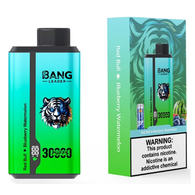 Bang Kingdoms Rex 30000 Puffs Smart Screen Puff 30k Double Flavors Dual Mesh Wholesale Disposable Vape E Cigarettes