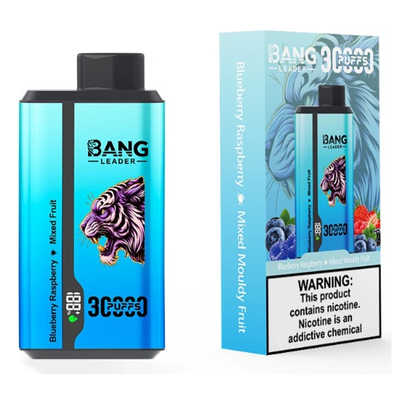 Bang Kingdoms Rex 30000 Puffs Smart Screen Puff 30k Double Flavors Dual Mesh Wholesale Disposable Vape E Cigarettes