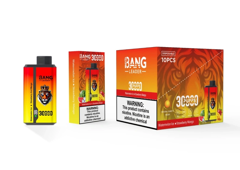 Bang Kingdoms Rex 30000 Puffs Smart Screen Puff 30k Double Flavors Dual Mesh Wholesale Disposable Vape E Cigarettes