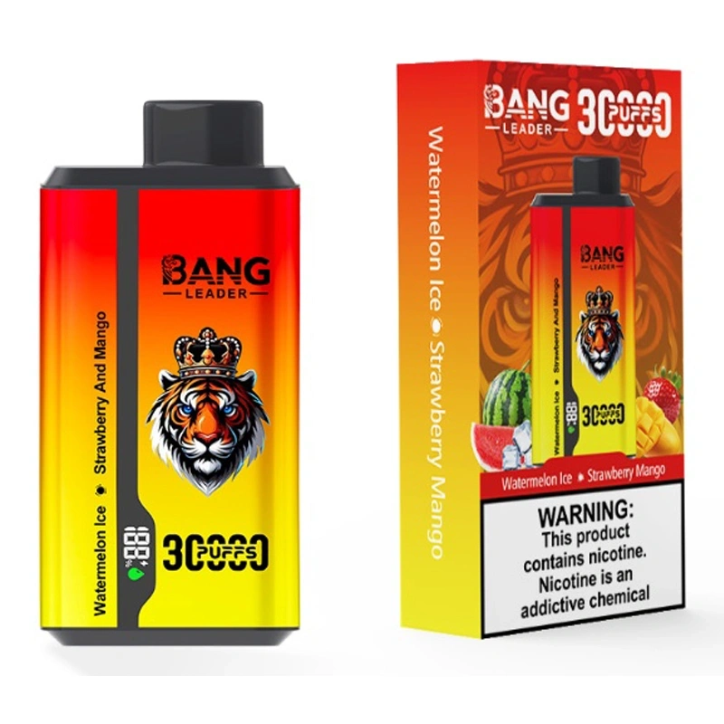 Bang Kingdoms Rex 30000 Puffs Smart Screen Puff 30k Double Flavors Dual Mesh Wholesale Disposable Vape E Cigarettes
