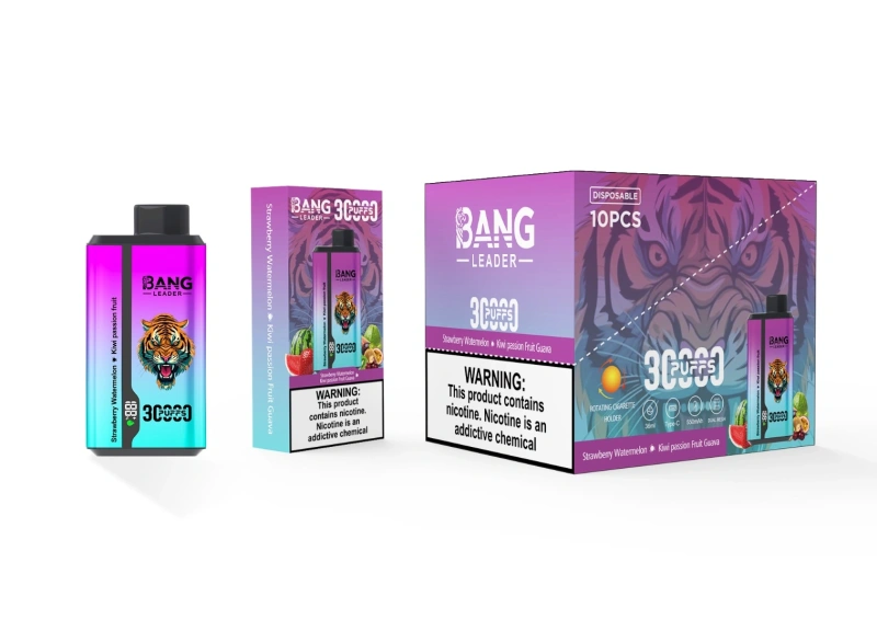 Bang Kingdoms Rex 30000 Puffs Smart Screen Puff 30k Double Flavors Dual Mesh Wholesale Disposable Vape E Cigarettes