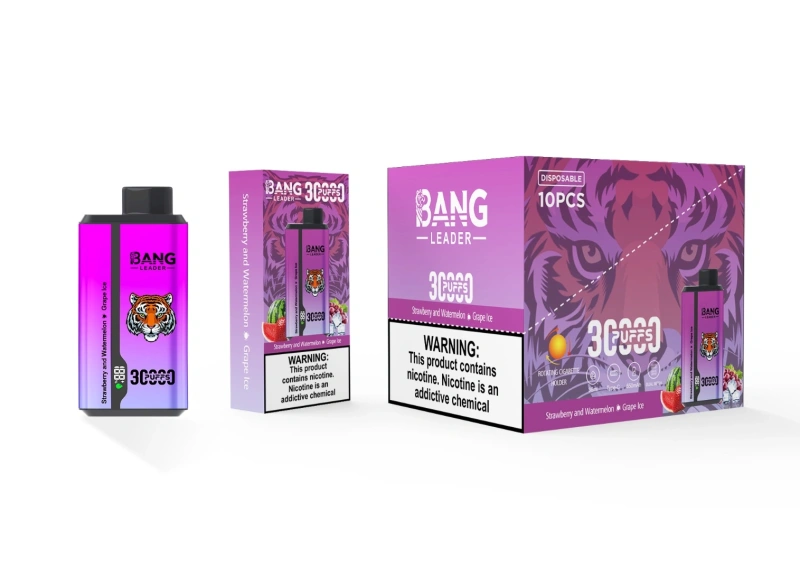 Bang Kingdoms Rex 30000 Puffs Smart Screen Puff 30k Double Flavors Dual Mesh Wholesale Disposable Vape E Cigarettes