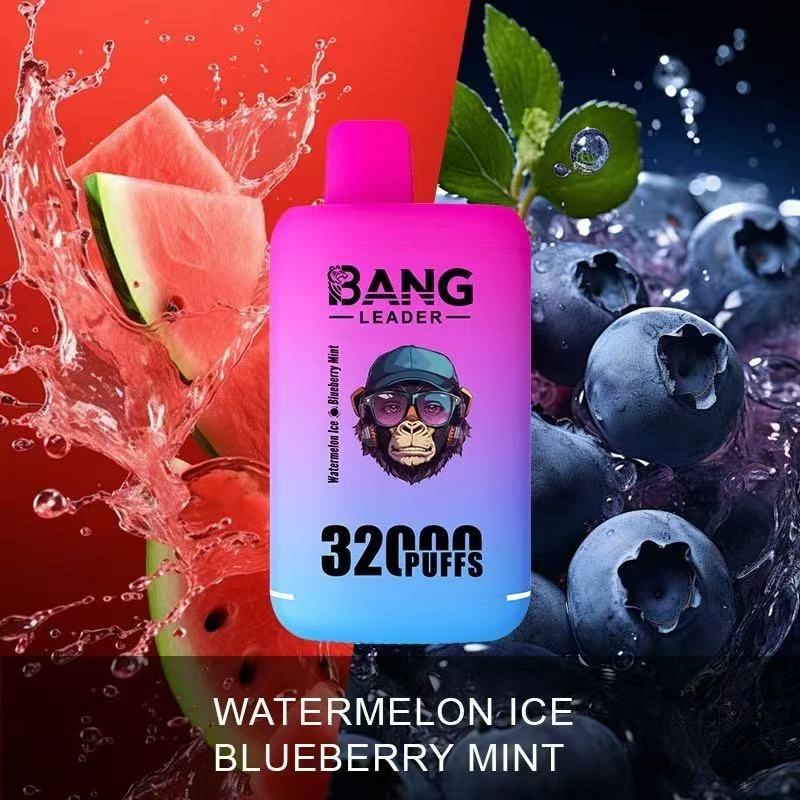 Bang Leader 32000 Puffs Double Flavors 