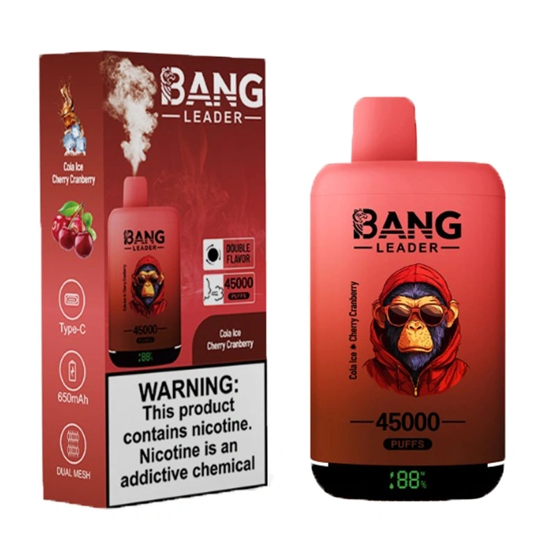 Bang Leader 45000 Puffs