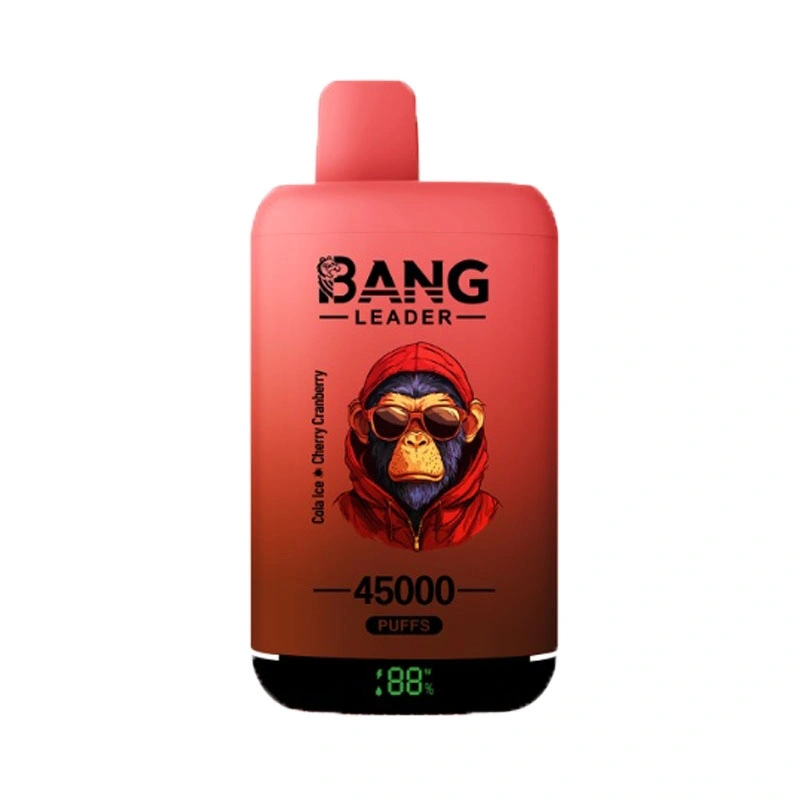 Bang Leader 45000 Puffs