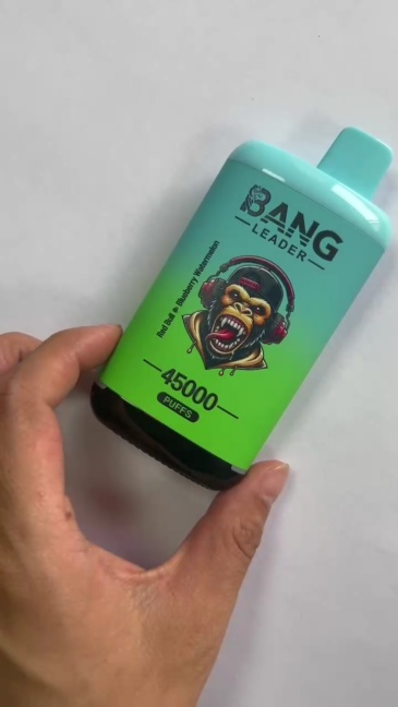 Bang Leader 45000 45K Puffs Double Flavors Smart Screen Disposable Vape 2 Flavors in 1