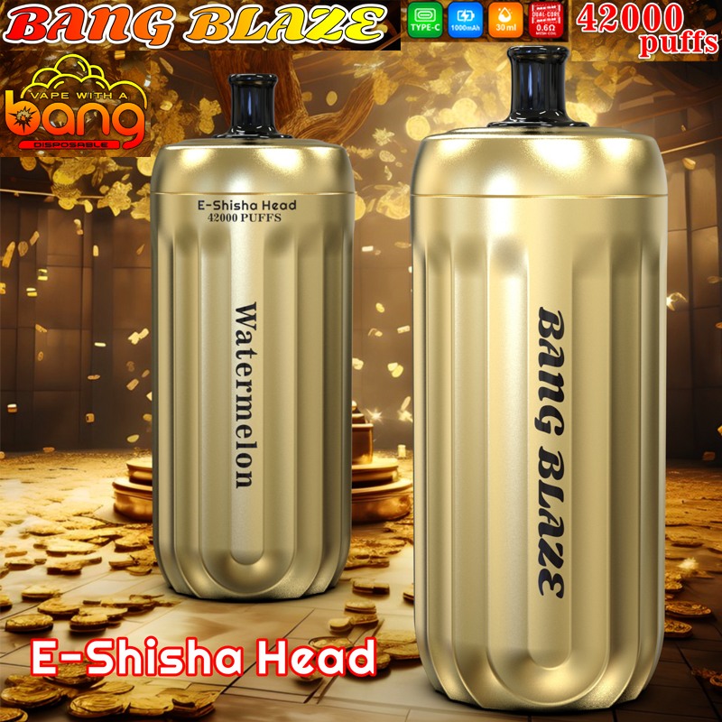 Bang Blaze 42000 Puffs 