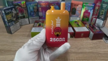 Bang King 25000 Puffs 2025 Disposable Vape Dual Pods Online Shopping 25K EU Free Shipping 1pc  2pcs  5pcs