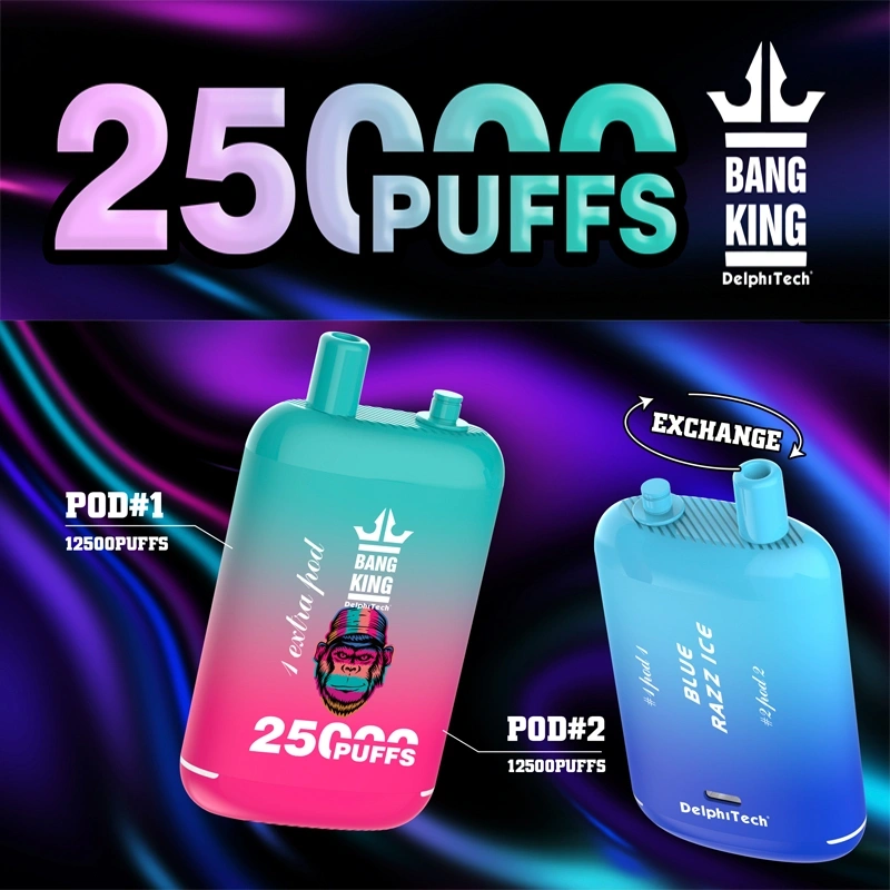 Bang King 25000 Puffs 2025 Disposable Vape Dual Pods Online Shopping 25K EU Free Shipping 1pc  2pcs  5pcs