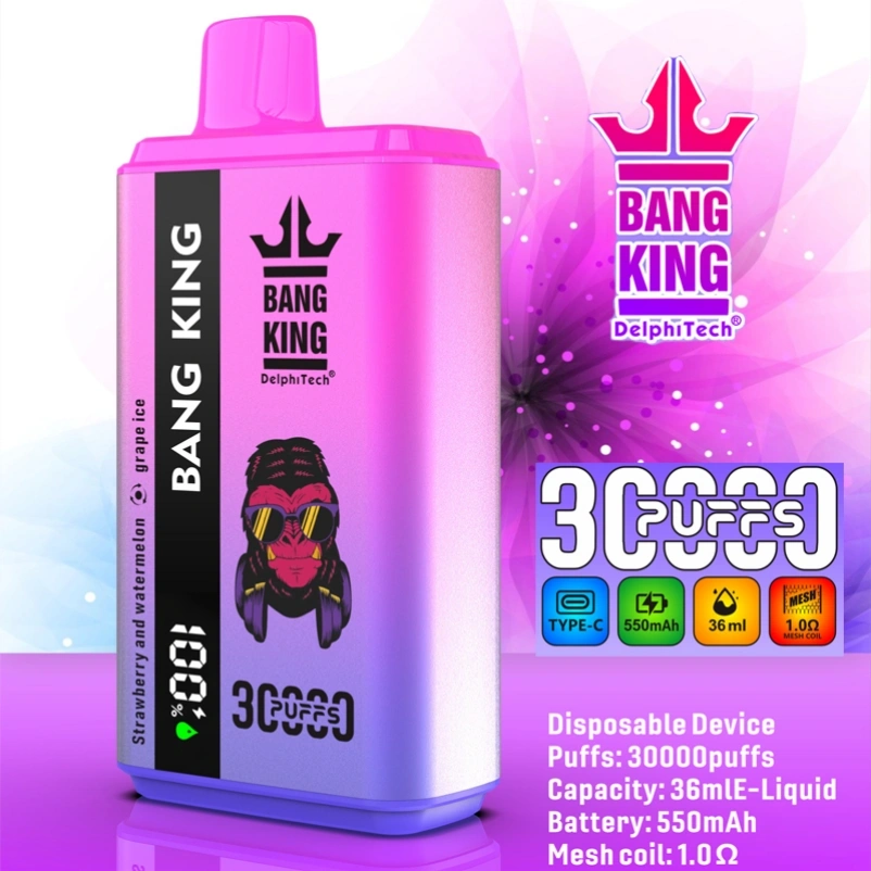 2 in 1 Bang King 30000 Puffs Double Flavors Disposable Vape 30K Smart Screen EU Warehouse