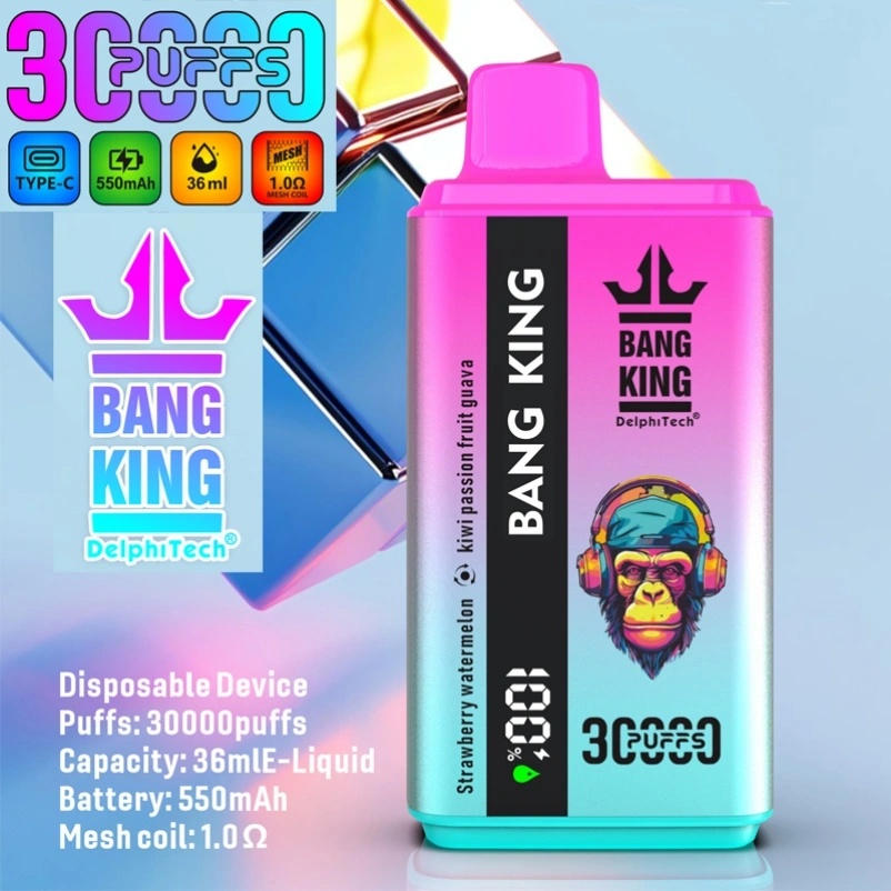 2 in 1 Bang King 30000 Puffs Double Flavors Disposable Vape 30K Smart Screen EU Warehouse