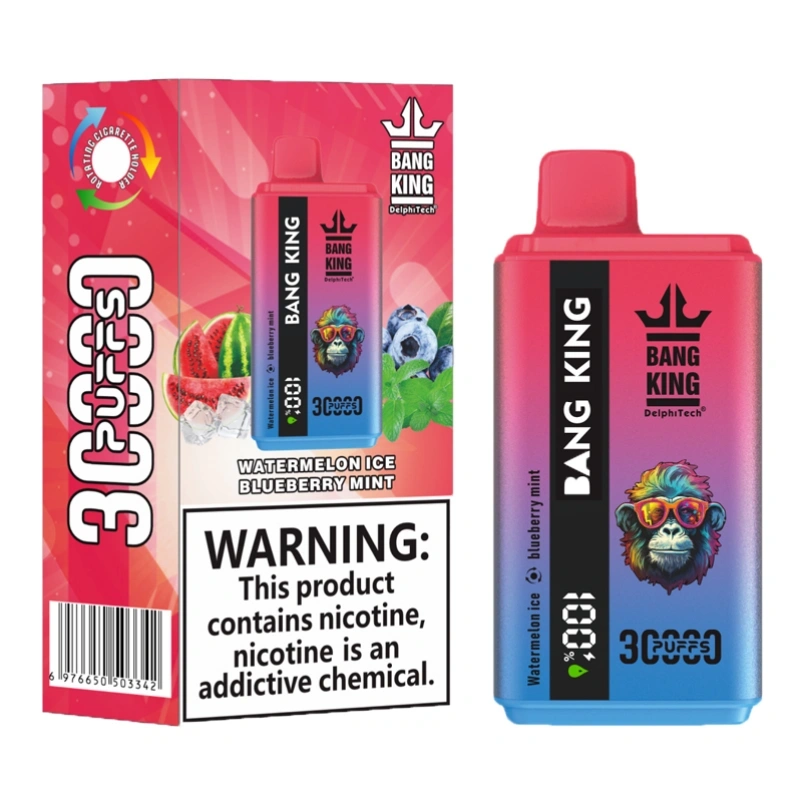 2 in 1 Bang King 30000 Puffs Double Flavors Disposable Vape 30K Smart Screen EU Warehouse