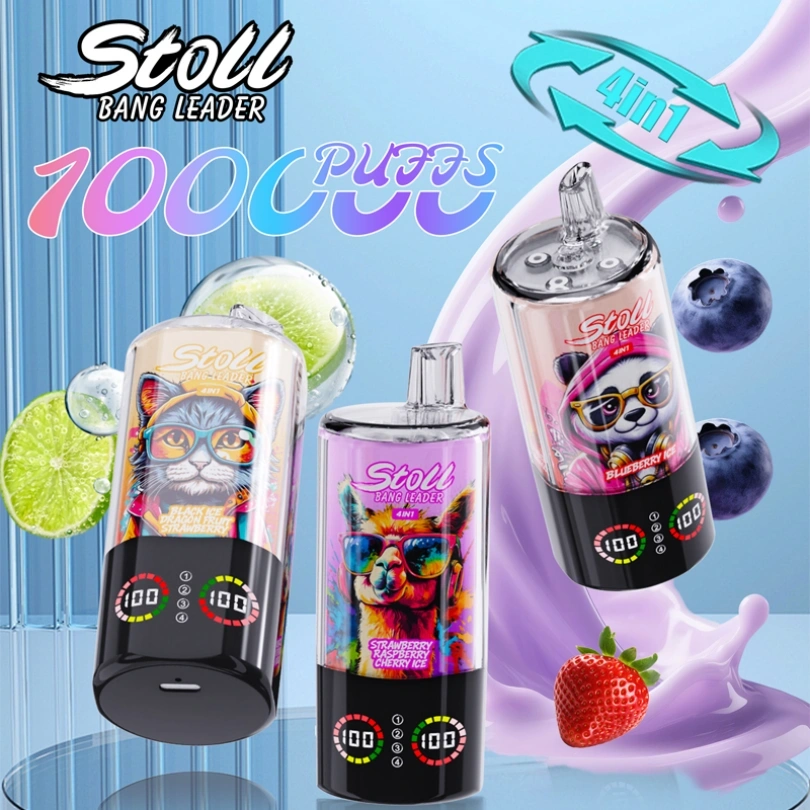 Bang Leader Stoll 100000 Puffs