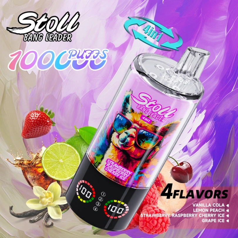 Bang Leader Stoll 100000 Puffs