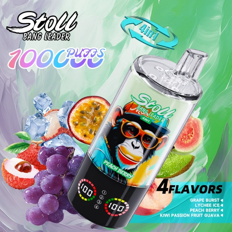 Bang Leader Stoll 100000 Puffs