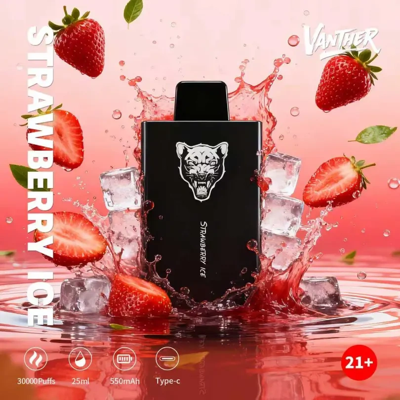 Vanther 30000 Puffs 