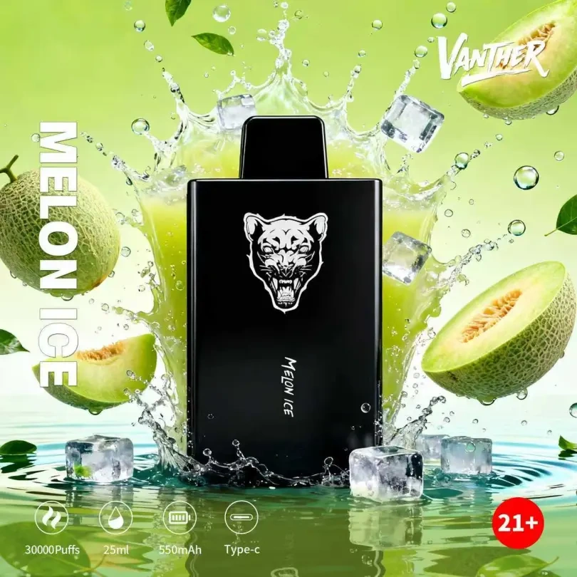 Vanther 30000 Puffs 