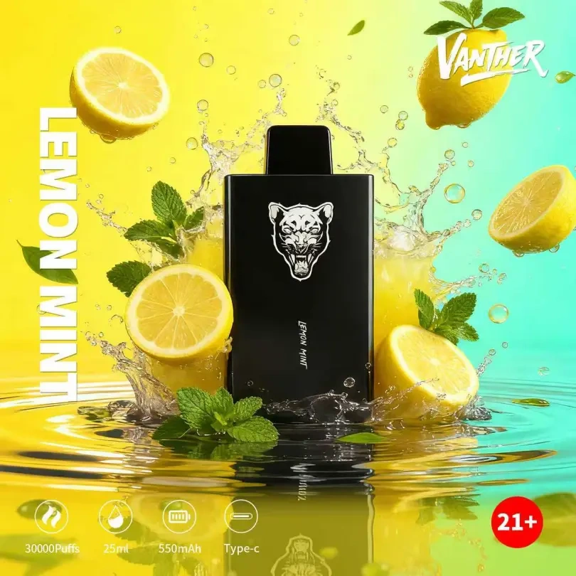 Vanther 30000 Puffs 