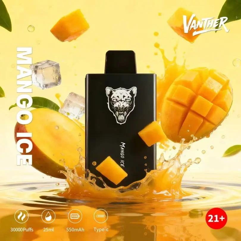 Vanther 30000 Puffs 