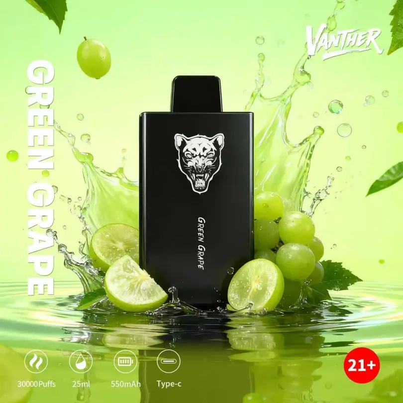 Vanther 30000 Puffs 