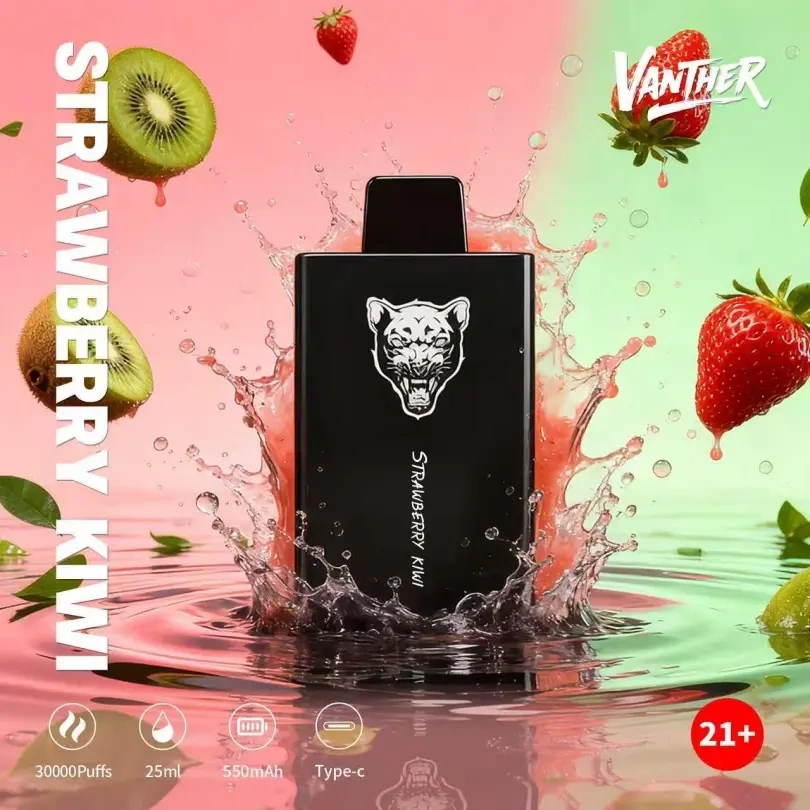 Vanther 30000 Puffs 