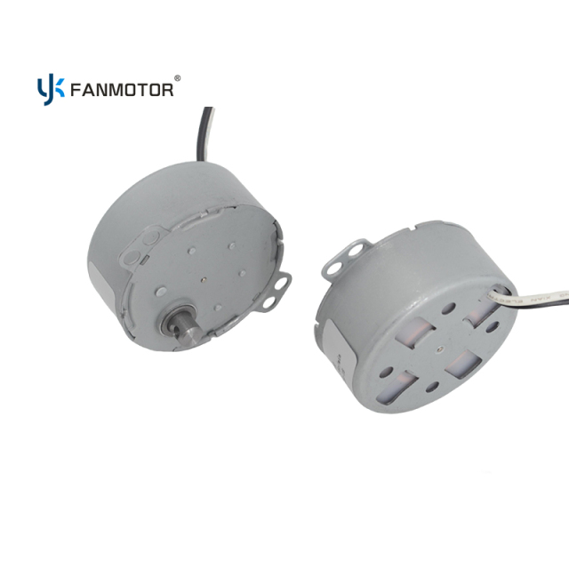 Minimotor síncrono de imán permanente con polos de garra de CA 50TYZ, 5/6 RPM