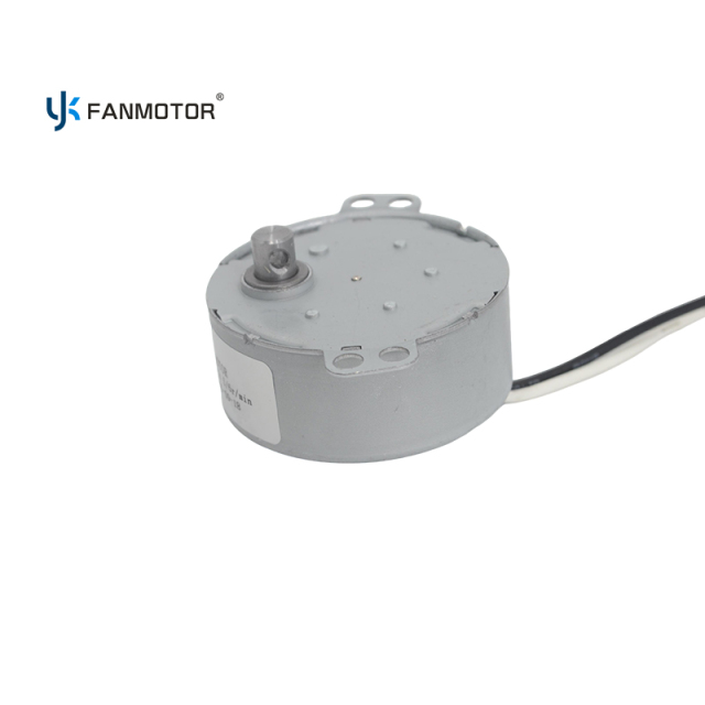 Minimotor síncrono de imán permanente con polos de garra de CA 50TYZ, 5/6 RPM