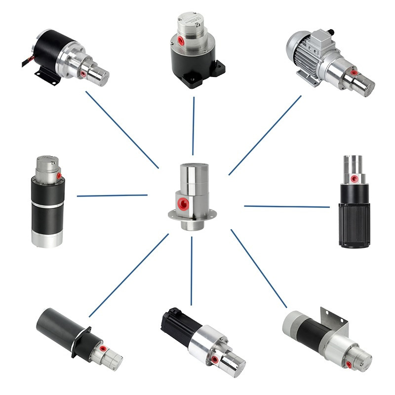 Good Sealing Industry Chemical Measurement Micro Magnetic Gear Pump