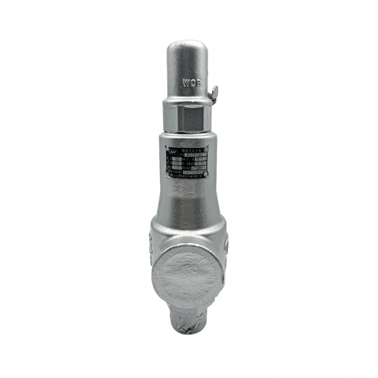 Stainless steel valve spring type connection safety valve