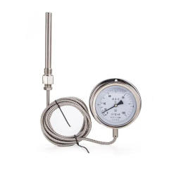 Stainless Steel Liquid Pressure Type Thermal Resistance Remote Transmission Thermometer