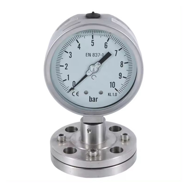 Stainless Steel Diaphragm Pressure Gauge And Liquid Pressure Gauge Manometer