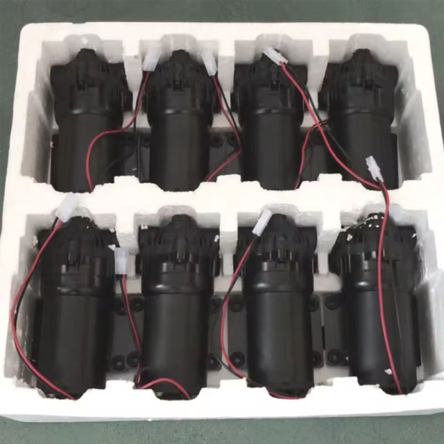 Booster Self-Priming Diaphragm Pump and Electric Water Pumps